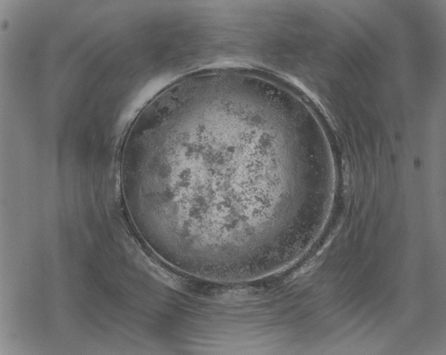 X0000068831367200605051225