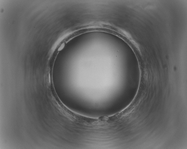 X0000068831368200605051225