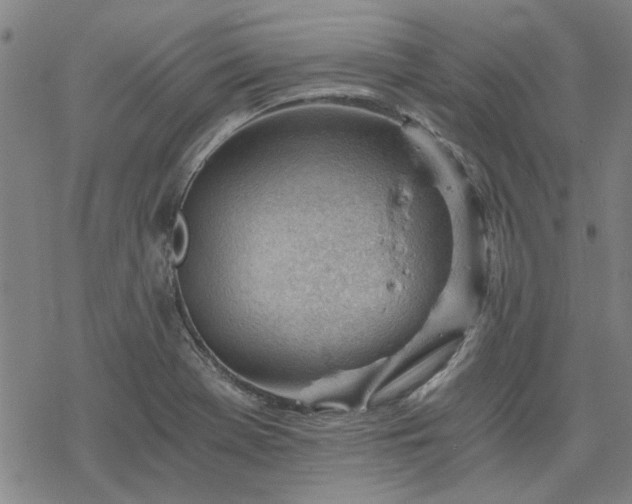 X0000068831369200605051225