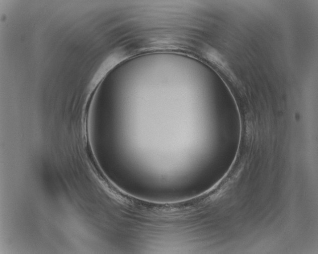 X0000068831370200605051225