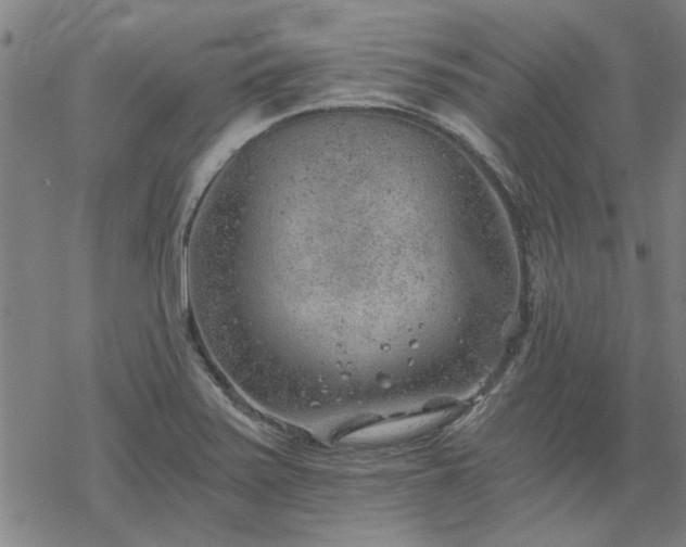 X0000068831371200605051225