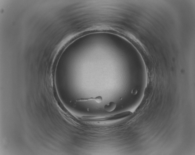 X0000068831372200605051225