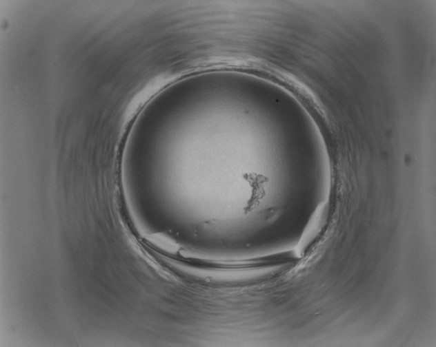 X0000068831373200605051225