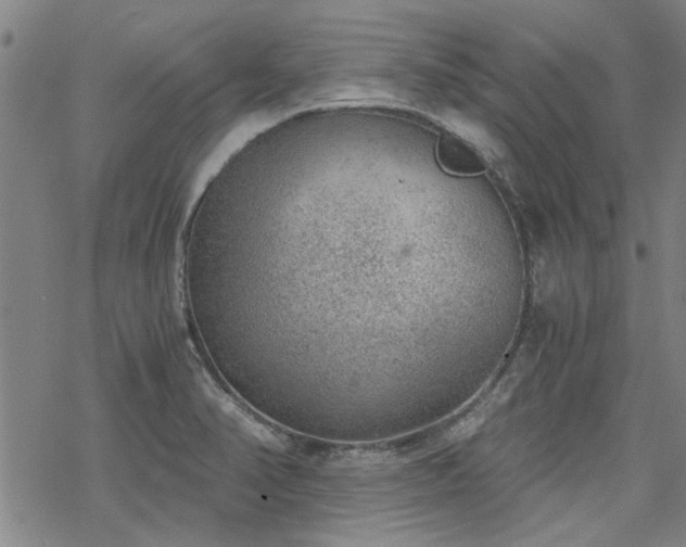 X0000068831374200605051225