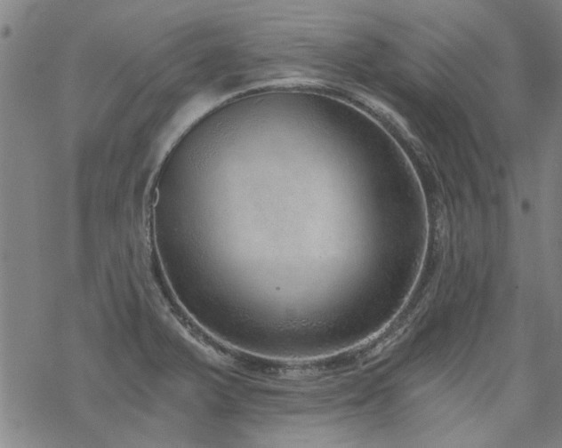 X0000068831375200605051225