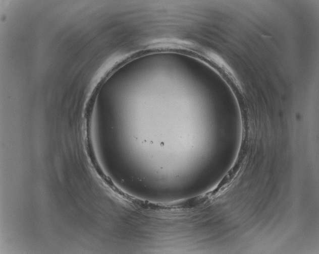 X0000068831376200605051225