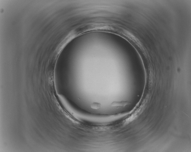 X0000068831377200605051225