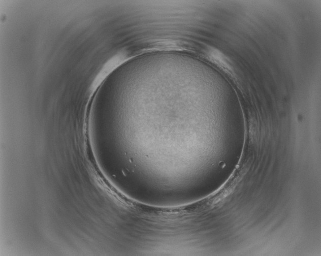 X0000068831378200605051225