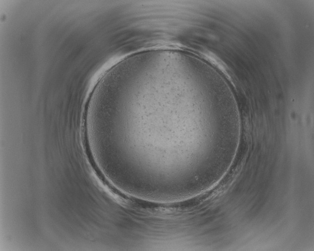 X0000068831379200605051225