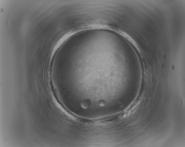 X0000068831381200605051225