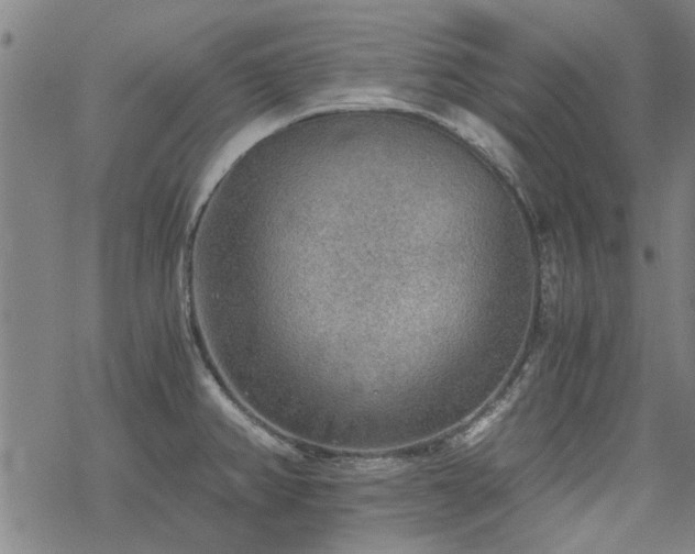 X0000068831382200605051225