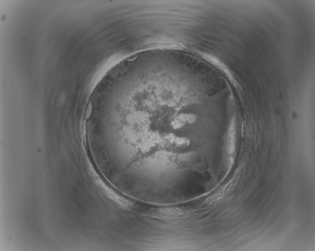 X0000068831383200605051225