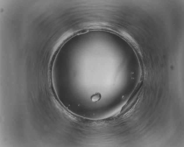 X0000068831384200605051225