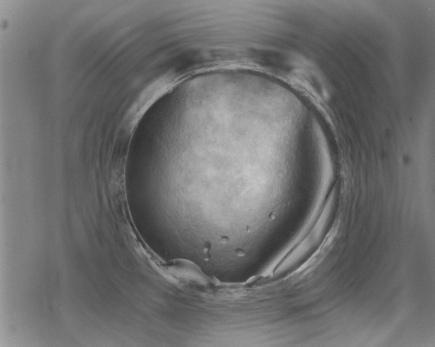 X0000068831385200605051225