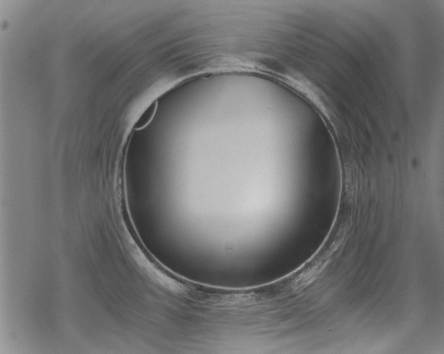 X0000068831387200605051225