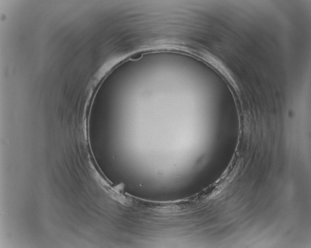 X0000068831388200605051225