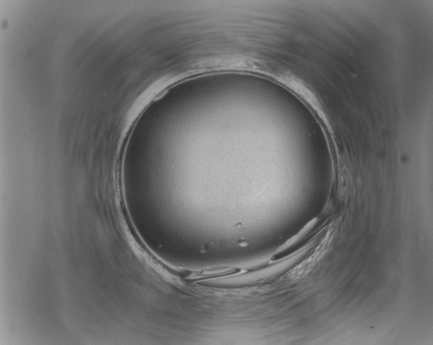 X0000068831389200605051225