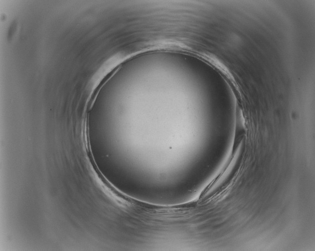 X0000068831391200605051225