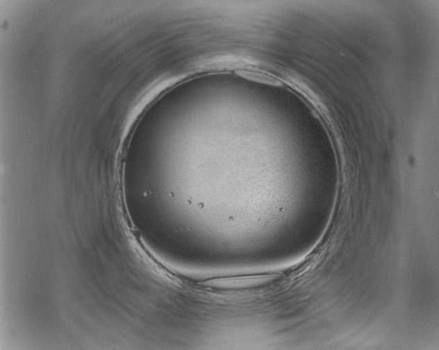 X0000068831392200605051225