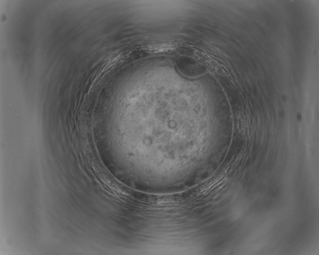 X0000068831393200605051224