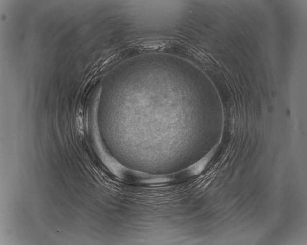 X0000068831394200605051224