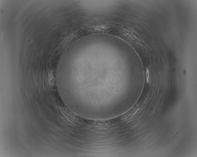 X0000068831395200605051224