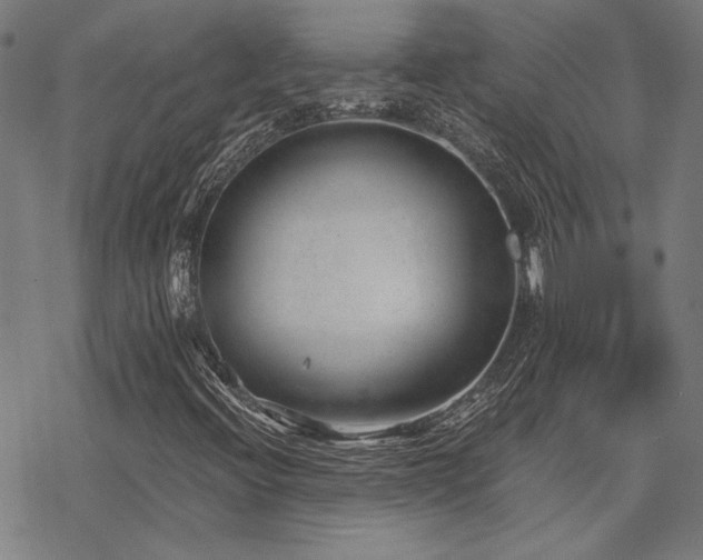 X0000068831396200605051224