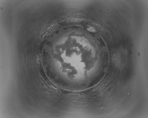 X0000068831397200605051224