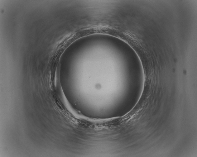 X0000068831398200605051224