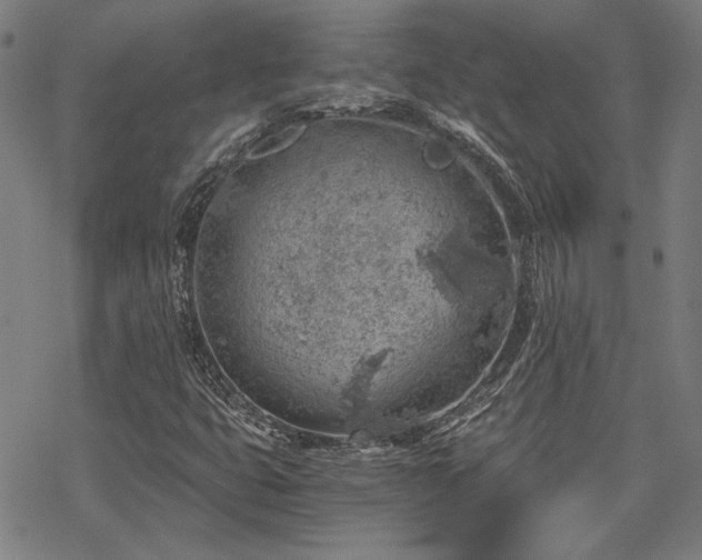 X0000068831399200605051224