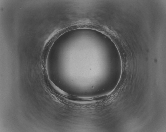 X0000068831400200605051224