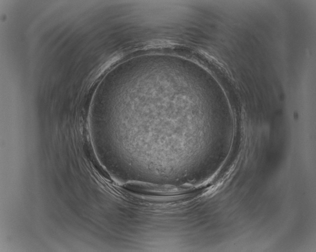 X0000068831401200605051224