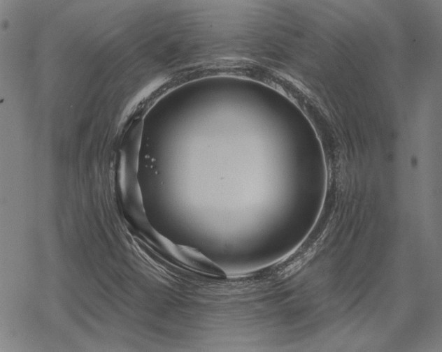 X0000068831402200605051224