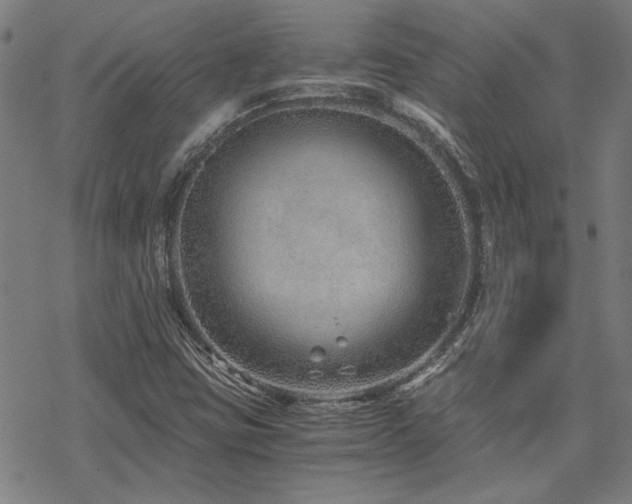 X0000068831403200605051224