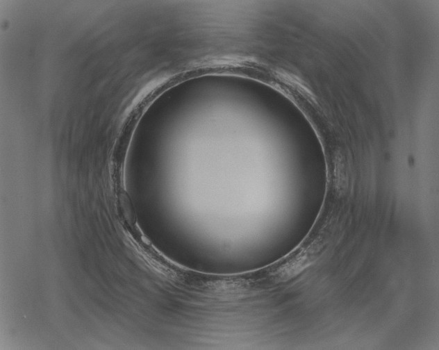 X0000068831404200605051224