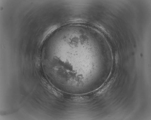 X0000068831405200605051224