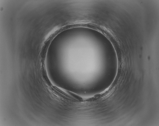 X0000068831406200605051224