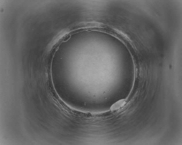 X0000068831407200605051224