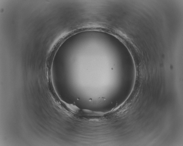 X0000068831408200605051224