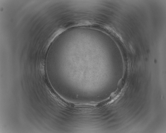 X0000068831409200605051224