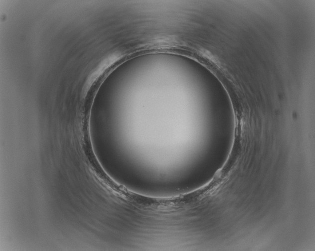 X0000068831410200605051224