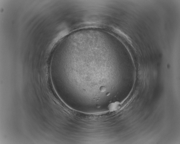 X0000068831411200605051224