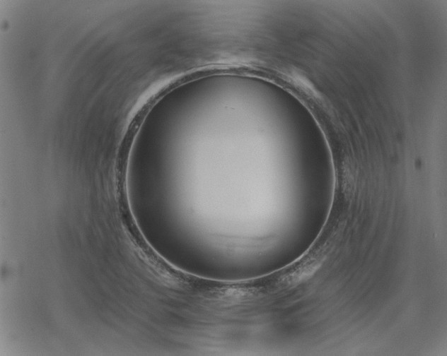 X0000068831412200605051224