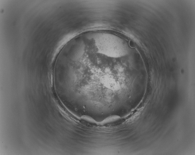 X0000068831413200605051224