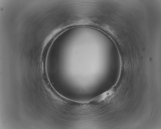 X0000068831414200605051224