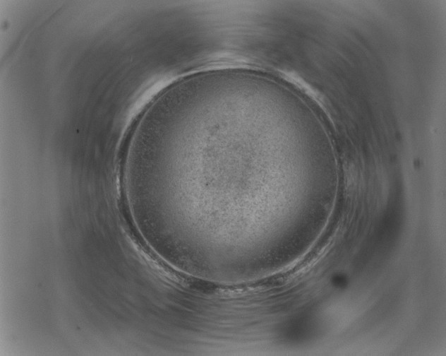 X0000068831415200605051224