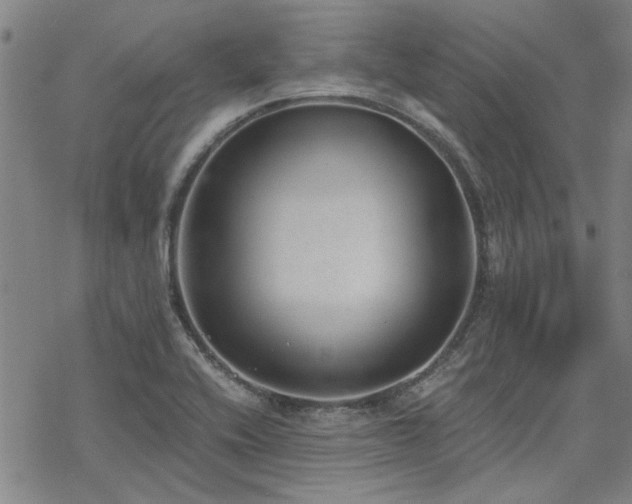 X0000068831416200605051224