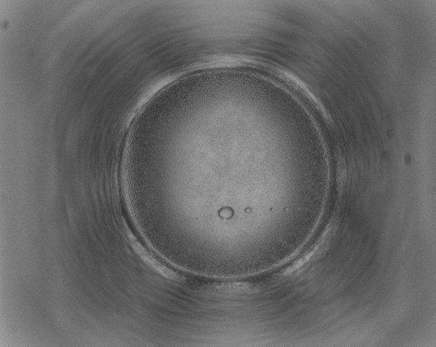 X0000068831417200605051224