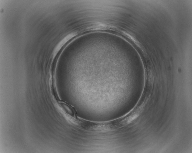 X0000068831418200605051224