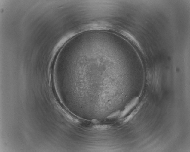 X0000068831419200605051224